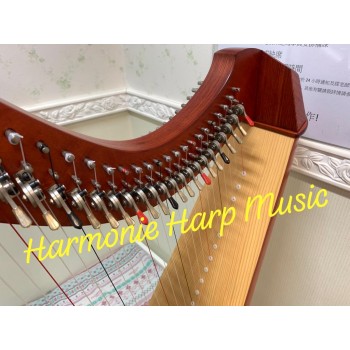 SOLD - 2nd Hand Salvi Titan 38 Strings Lever Harp